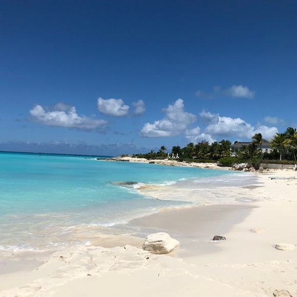 Meet your Posher, Hailey - Picture 1 of 1